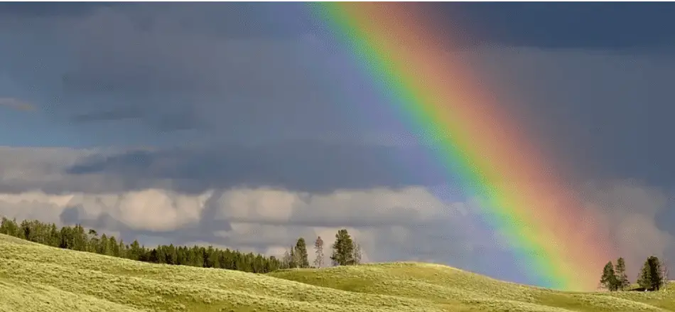 Die richtige Reihenfolge der sieben Regenbogenfarben